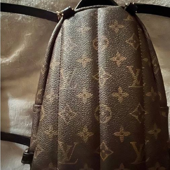 Louis Vuitton mini Palm Springs back pack - Picture 1 of 4